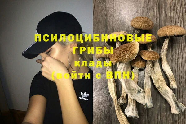 первитин Верхний Тагил